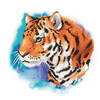 Кристальная (алмазная) мозаика  ФРЕЯ ALBP-271 постер Сильный тигр 30 х 30 см Фото 1.