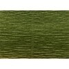 Blumentag Гофрированная бумага GOF-180 50 см х 2.5 м 144 г/м2 17А8 черепахово-зеленый Фото 1.