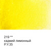 Краска акварель VISTA-ARTISTA Gallery художественная в тубе VGWT 10 мл 219 Кадмий лимонный Фото 2.