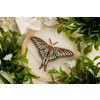 Набор для вышивания PANNA Живая картина JK-2255 Бабочка. Изабелла 13 х 13 см Фото 3.
