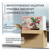 Фудзи сад Подарочный набор для выращивания Вырасти Бонсай дома Китайская роза (гибискус изменчивый) fg-003 Фото 4.