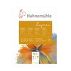 Hahnemuhle Альбом-склейка для пастели «Ingres» 100 г/м2 30 х 40 см склейка 20 л. 10628053 Фото 1.