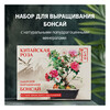 Фудзи сад Подарочный набор для выращивания Вырасти Бонсай дома Китайская роза (гибискус изменчивый) fg-003 Фото 1.