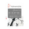 Hahnemuhle Альбом для каллиграфии Sumi-e 80 г/м2 30 х 40 см склейка с одной стороны 20 л. 10628371 Фото 1.