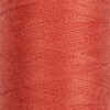 Швейные нитки (полиэстер) 40/2 Gamma 400 я 365 м №106 св.оранжевый Фото 1.