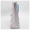 ILIKEGIFT Пакет подарочный 26 х 32 х 10 см «For you» 22P-KR12004-M-1 Фото 3.