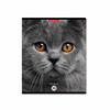 ErichKrause 58406 Тетрадь общая ученическая Cats A5+ 96 л. на скобе 60 г/кв.м клетка Фото 4.