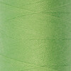 Швейные нитки (полиэстер) 40/2 Gamma 400 я 365 м №542 пастельно-зеленый Фото 1.