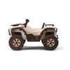 ТАРГ Сборная модель Hunter. Квадроцикл. 18,5 x 11 x 11 см 0020005 Фото 2.