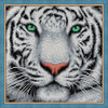 Алмазная живопись АЖ-1788 Портрет белого тигра 25 х 25 см Фото 2.