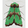 Набор для вышивания PANNA Живая картина JK-2179 Зеленый мотылек 5.5 х 6.5 см Фото 1.