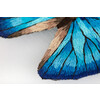 PANNA кестелеуге арналған жиынтығы Живая картина JK-2235 Бабочка. Морфо адонис 13 х 13 см Фото 7.