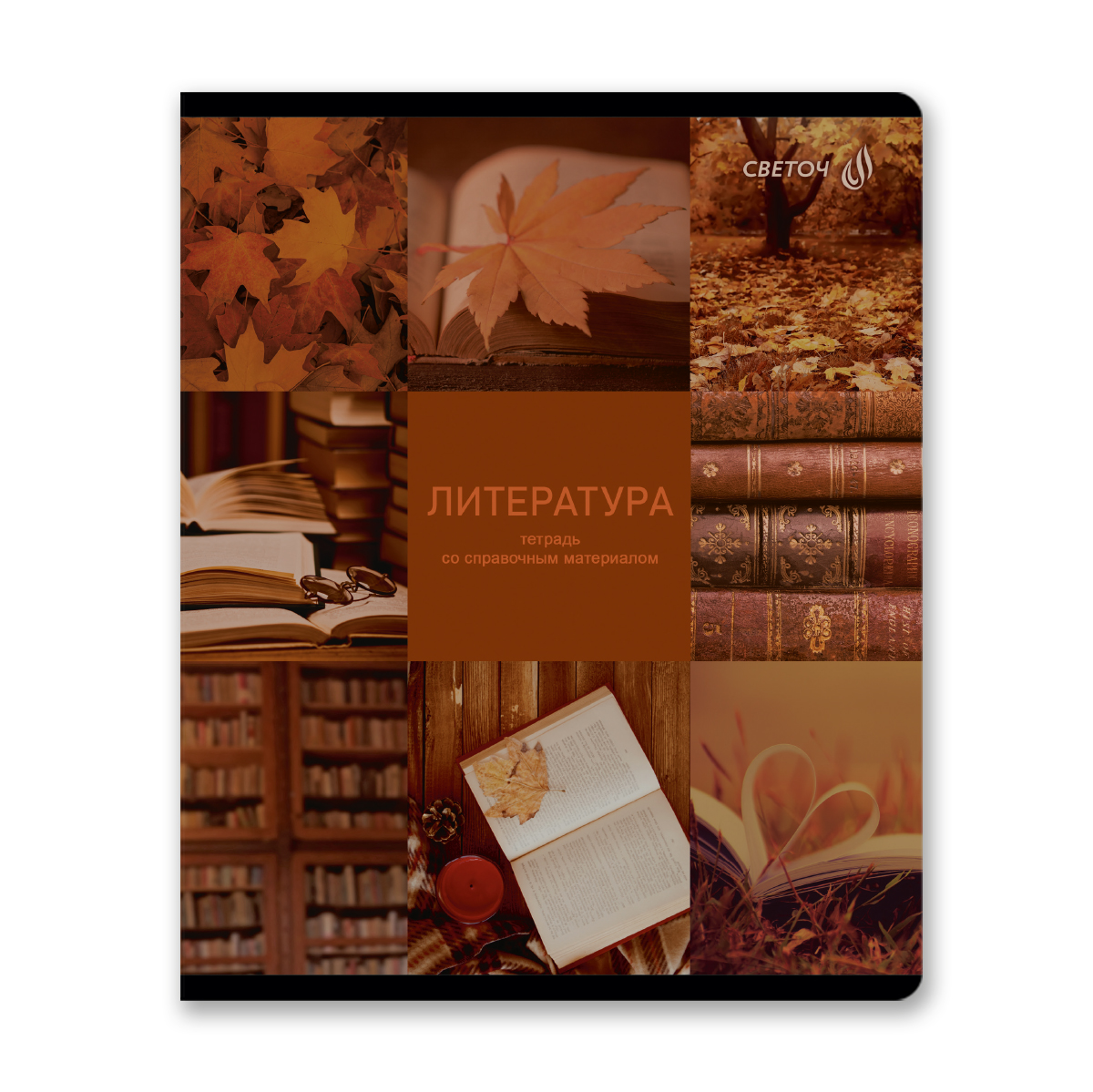 Светоч Т294 Комплект тетрадей со справоч.материал. Огромный мир внутри, A5 48 л. 12 шт. на скобе 60 г/кв.м , белизна 90 % , клетка/линия 01883 12 предметов Фото 6.