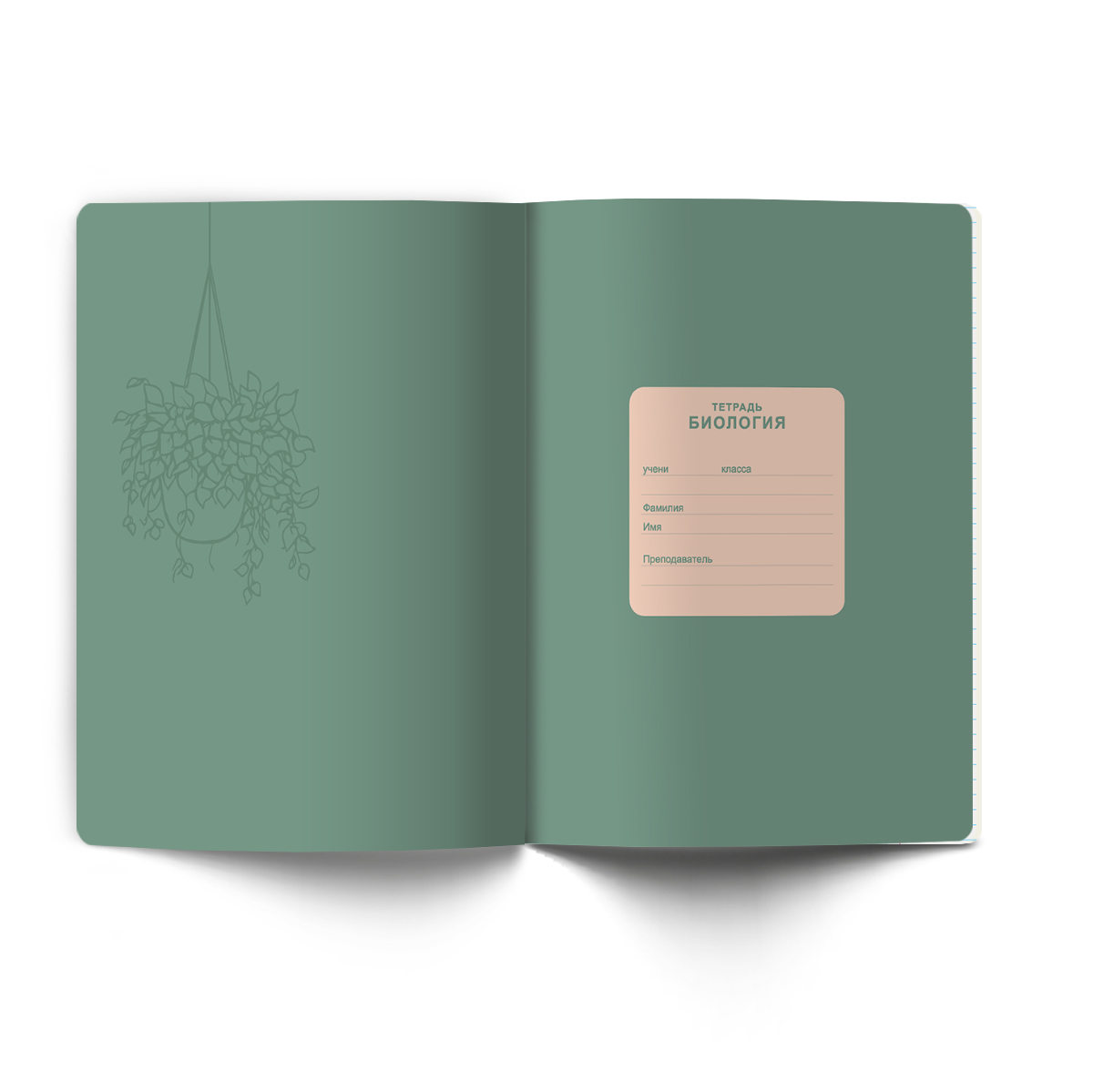 Светоч Т284 Тетрадь со справочным материалом Лёгким почерком, софт-тач ламинация, A5 48 л. на скобе 65 г/кв.м , белизна 100 % , клетка 01837 Лёгким почерком Биология Фото 3.