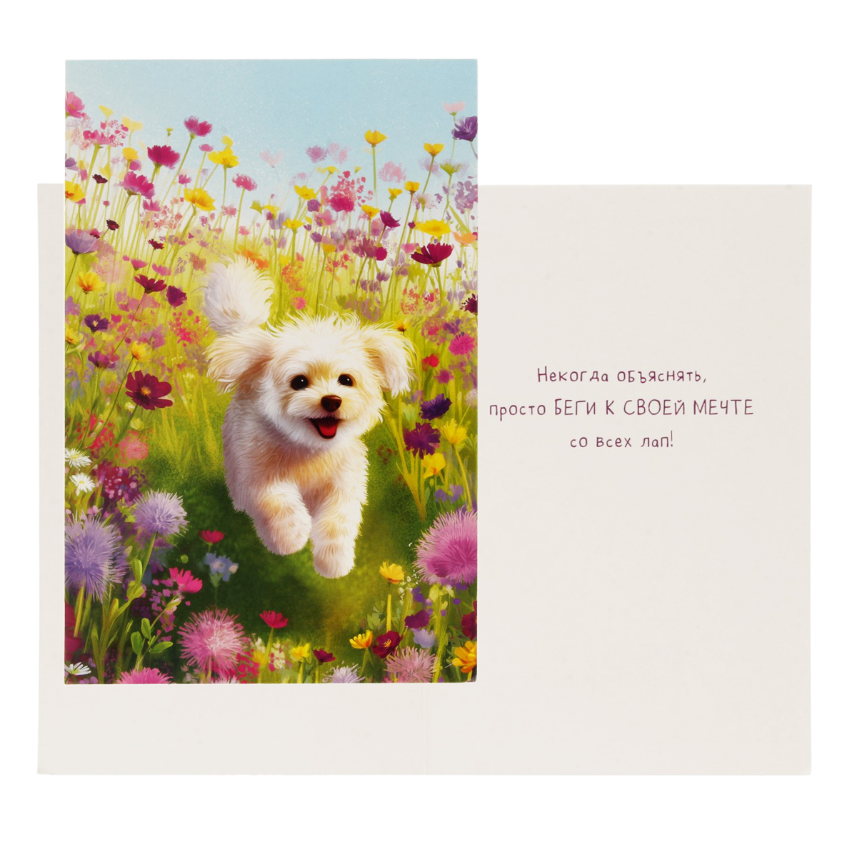 Арт и Дизайн Ашықхат коды 230 230 Фотосурет 2.