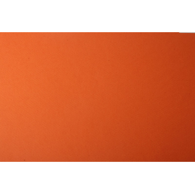 Canson Бумага для пастели Mi-Teintes 160 г/м2 A4 21 х 29.7 см лист №453 оранжевый 200321672 Фото 2.