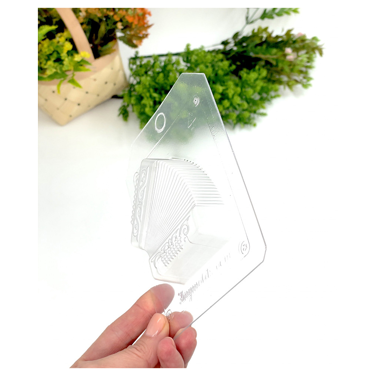 AnyMolds Форма пластиковая для мыла ПЭТ Гармонь Фото 3.