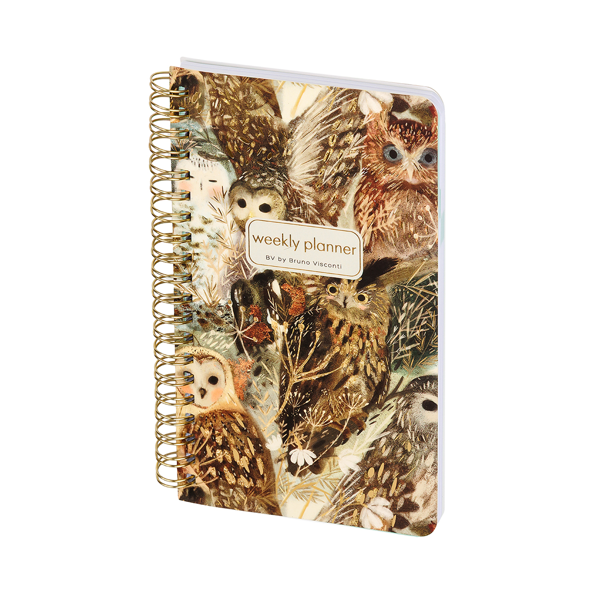 Bruno Visconti Ежедневник на золотом гребне A5 72 л. FAUNA.ВОЛШЕБНЫЕ СОВЫ 3-816/04