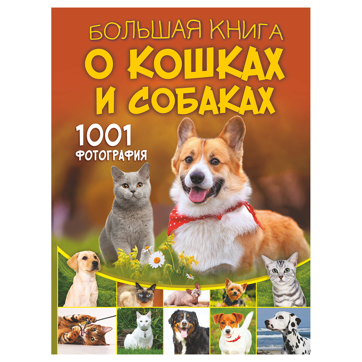 АС Большая книга о кошках и собаках. 1001 фотография 978-5-17-157631-8 ...