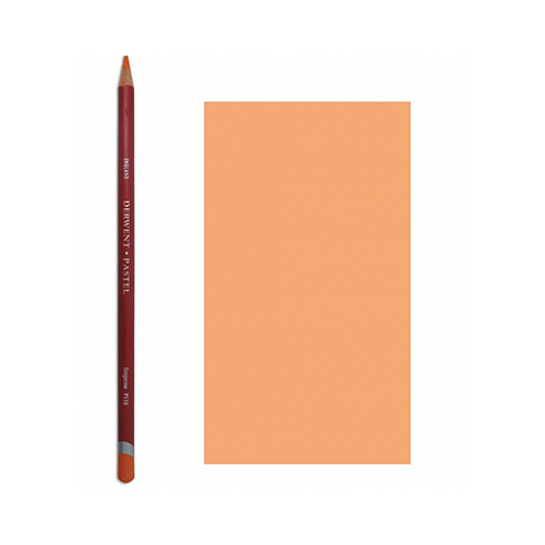 "Derwent" Карандаш пастельный Pastel 2300289 №P600 Охра жженая купить ...