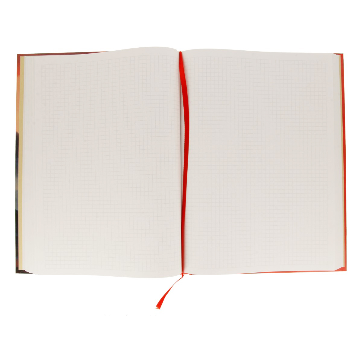 Listoff Книга для записей Вулкан A4 200 л. клетка КЗФ42004150 Фото 3.