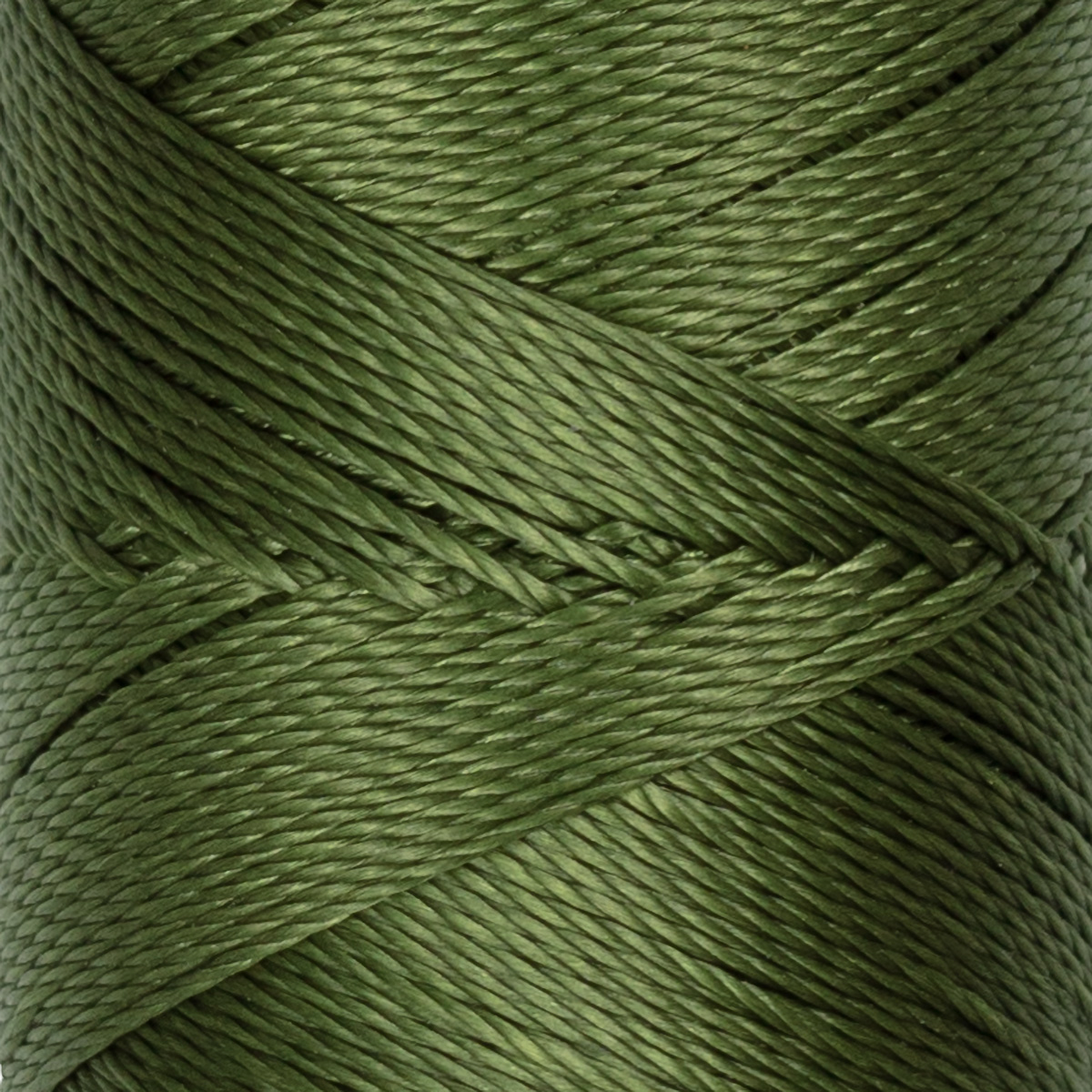 Нитки капрон обувной 9К 100% полиамид 200 м №14 зеленый купить за 209 ...