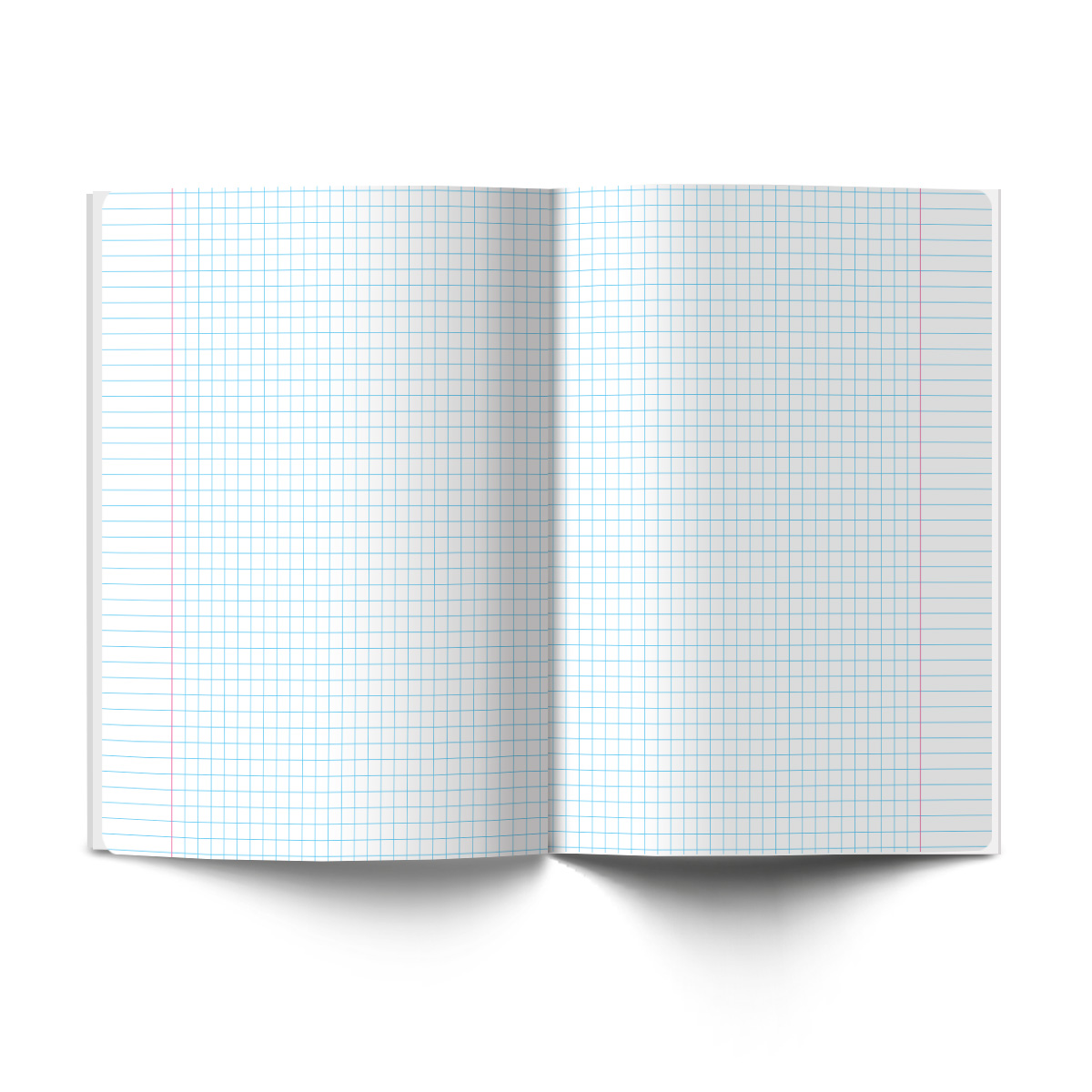 Светоч Т284 Тетрадь со справочным материалом Лёгким почерком, софт-тач ламинация, A5 48 л. на скобе 65 г/кв.м , белизна 100 % , клетка 01837 Лёгким почерком Биология Фото 7.