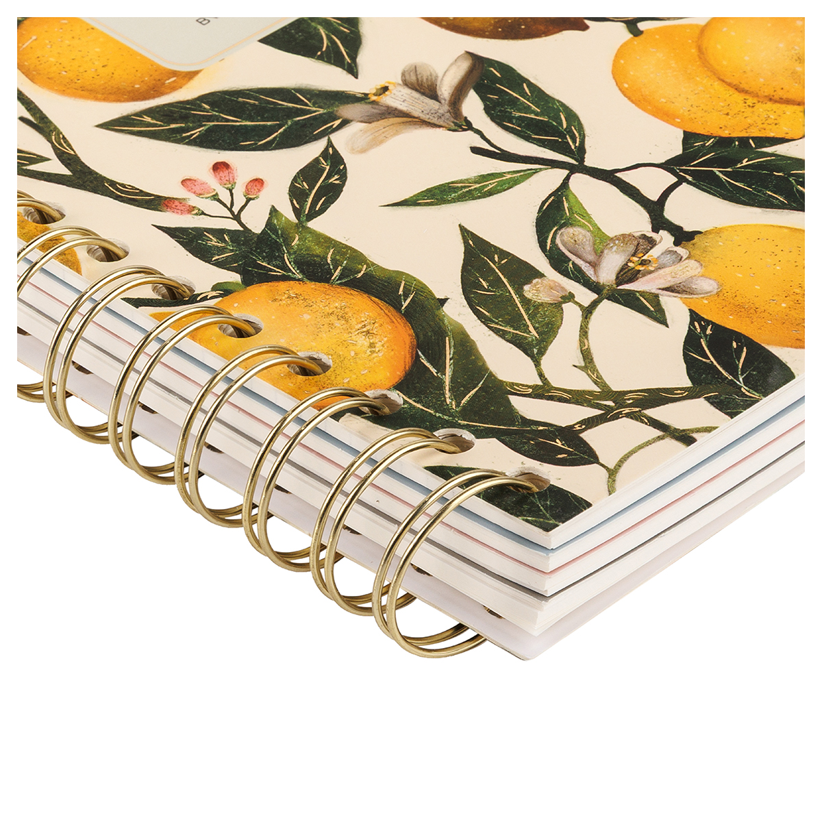 Bruno Visconti Записная книжка на гребне с разделителями ART JOURNAL A5+ 120 л. клетка/линия/точка FLORA.PARADISE.LEMONS 3-737/14 Фотосурет 10.