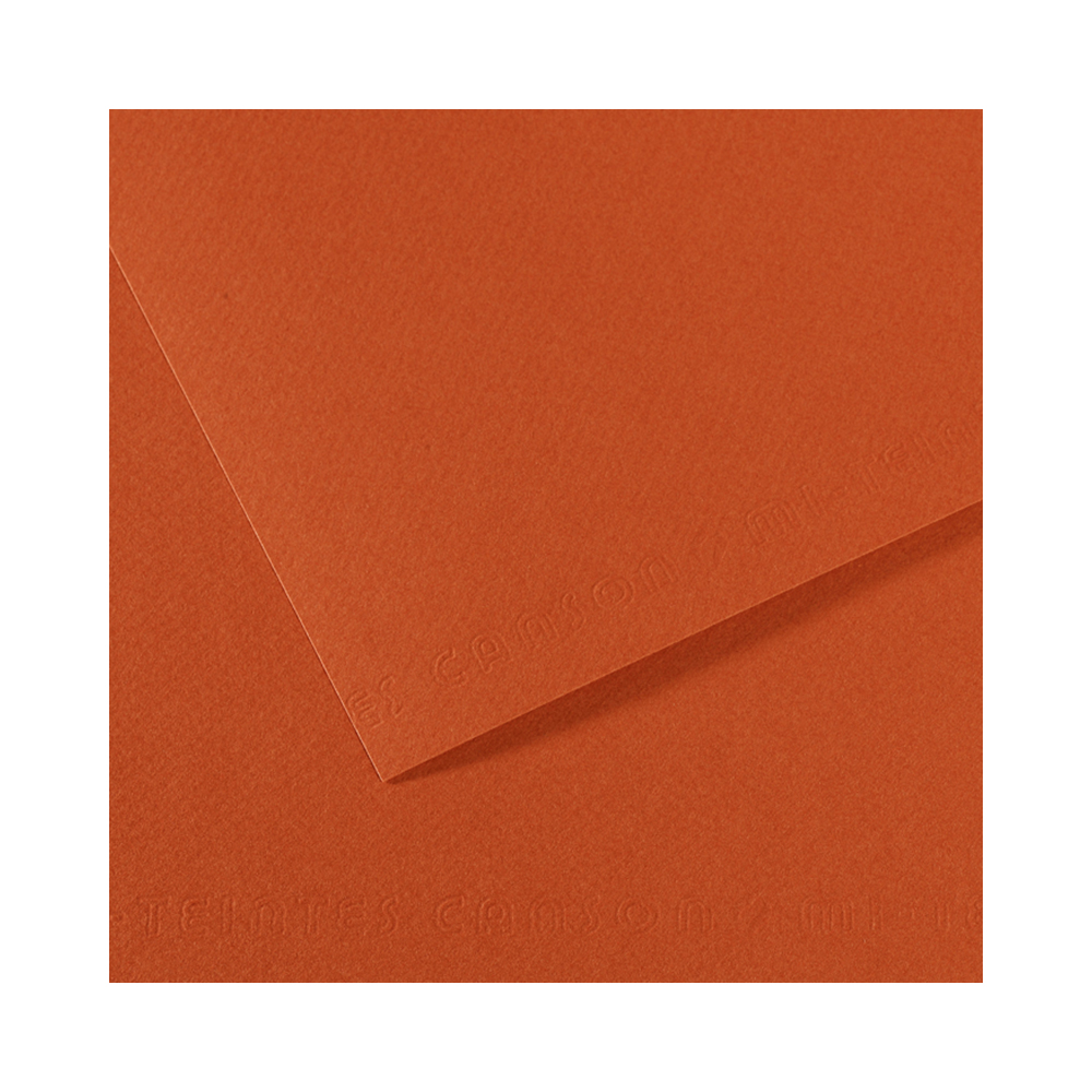 Canson Бумага для пастели Mi-Teintes 160 г/м2 50 х 65 см лист №130 красная глина 200321374 Фото 1.