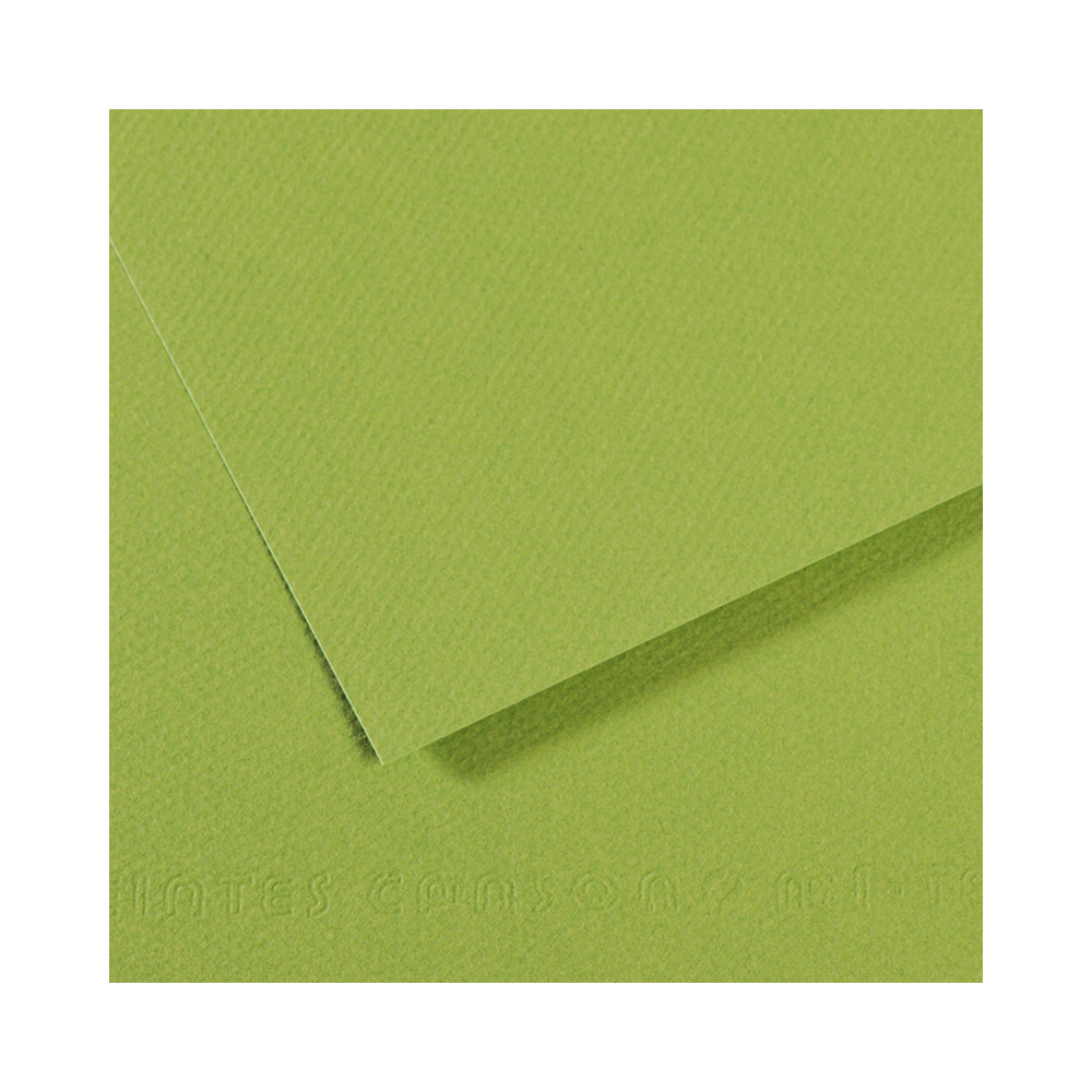 Canson Бумага для пастели Mi-Teintes 160 г/м2 50 х 65 см лист №475 зеленое яблоко 200321154 Фото 1.