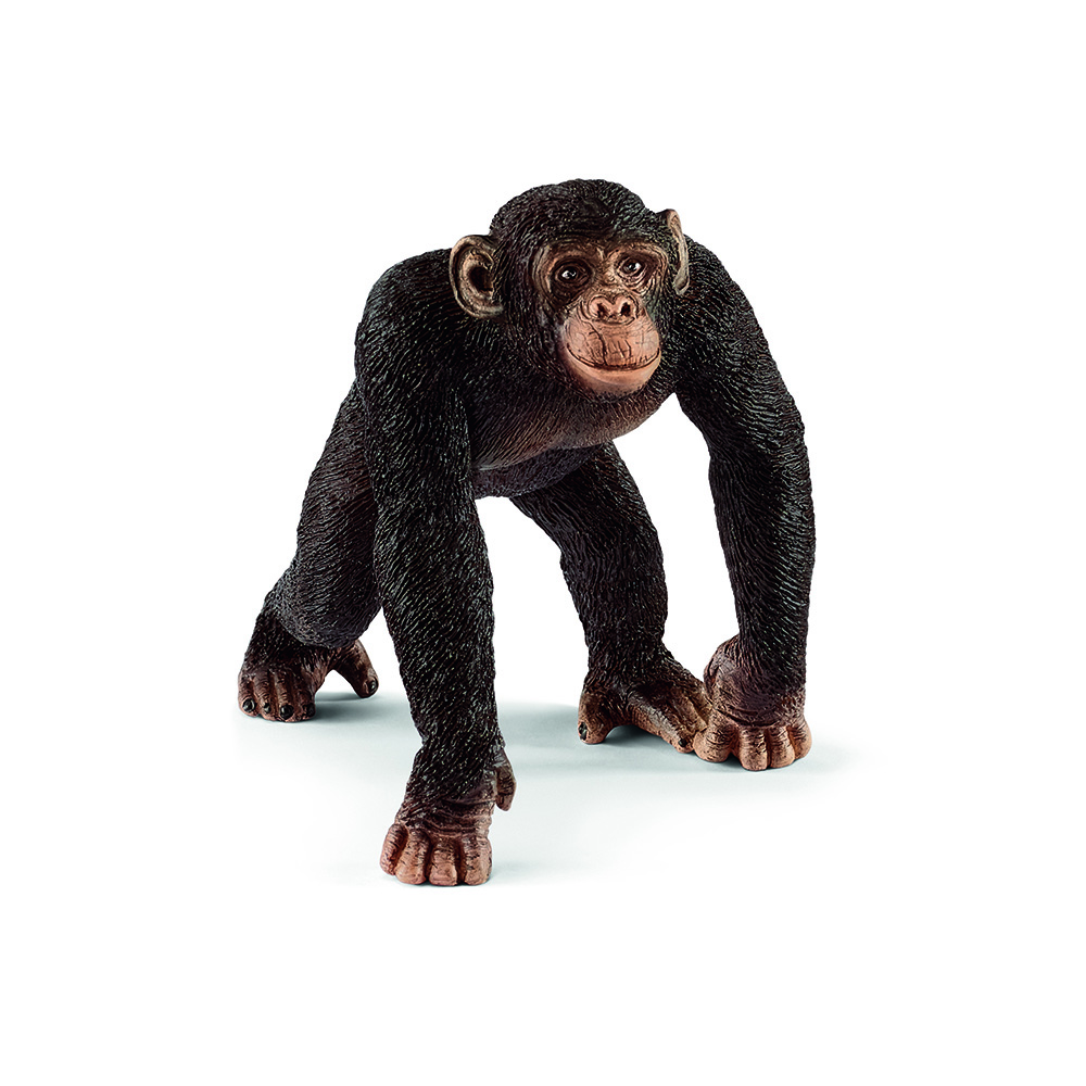SCHLEICH Фигурка 04 Шимпанзе, самец 14817 Фото 1.