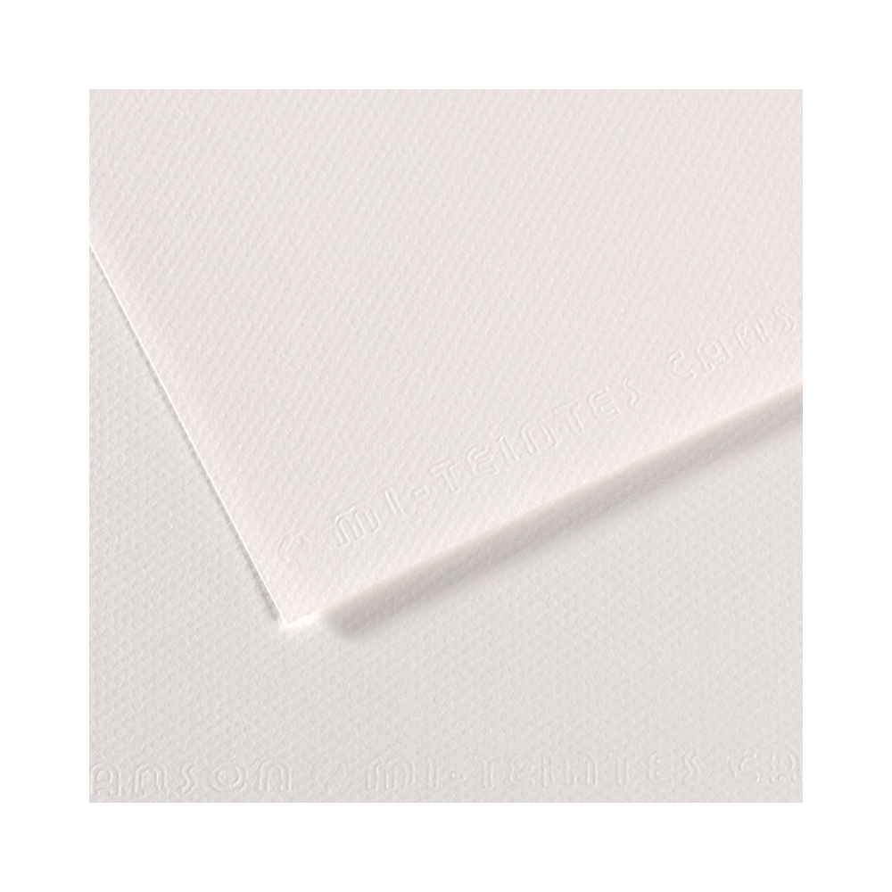 Canson Бумага для пастели Mi-Teintes 160 г/м2 50 х 65 см лист №335 белый 200271104 Фото 1.