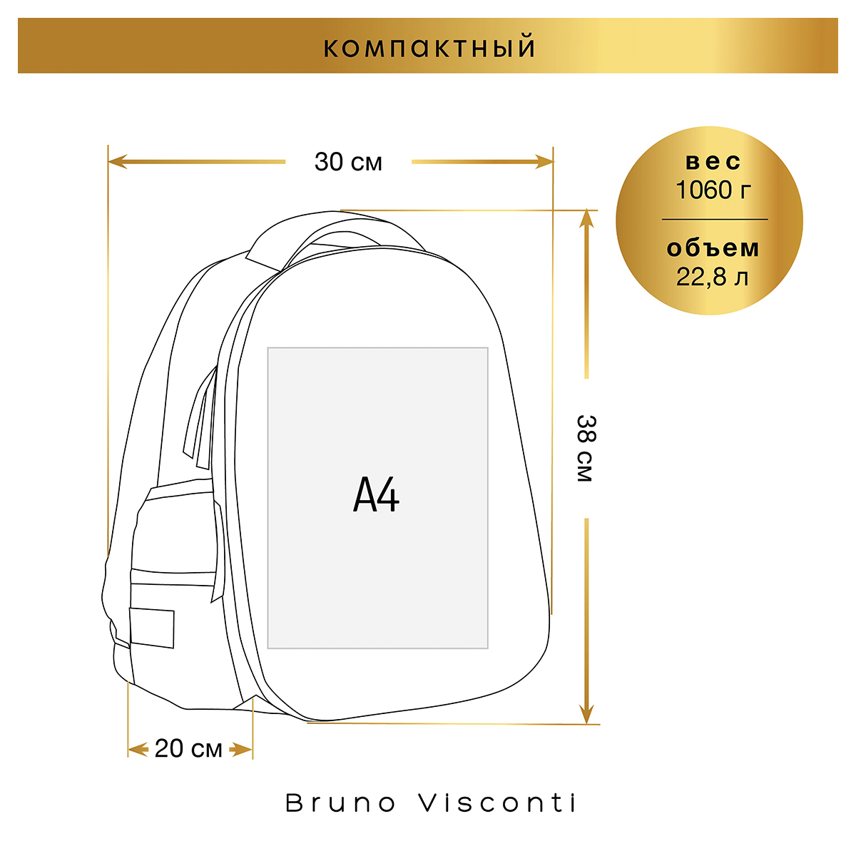 Bruno Visconti Рюкзак-облегченная капсула REX 43 х 32 х 13 см 12-001-188/02 Фото 4.