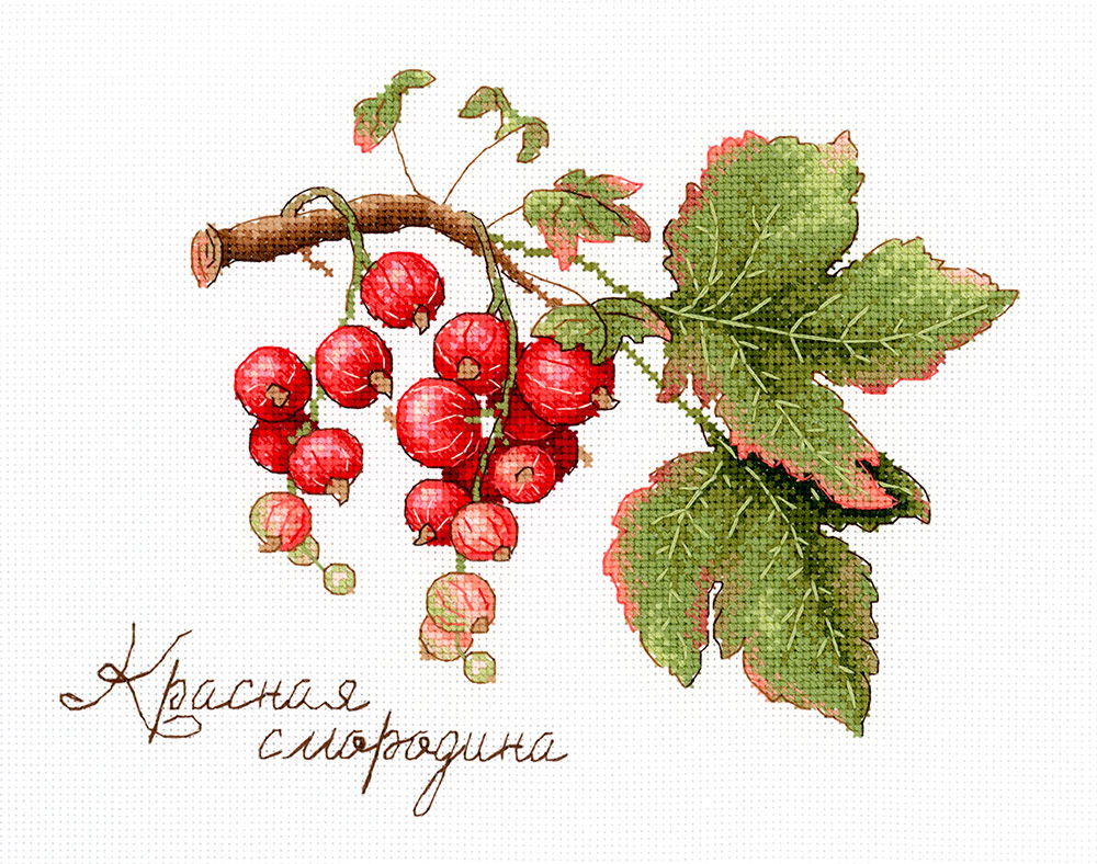 Набор для вышивания М.П.Студия НВ №104 №695 Дары природы. Красная смородина 15 х 20 см Фото 1.