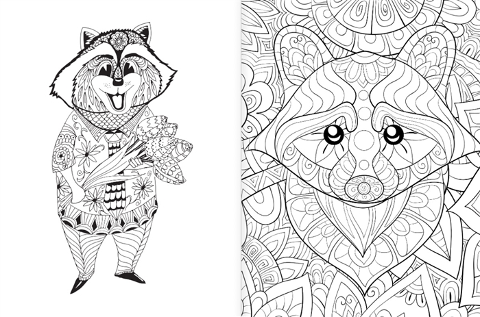 Расскраска-антистресс Еноты. Милые и беспокойные Фото 3.