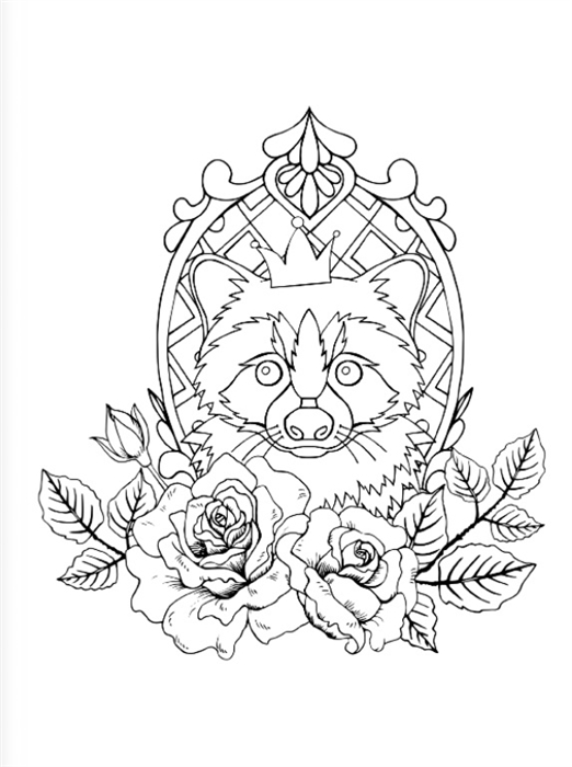 Расскраска-антистресс Еноты. Милые и беспокойные Фото 2.