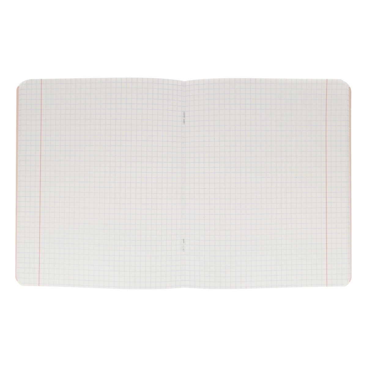 Be Smart N3617 Тетрадь общая 48 л. на скобе 65 г/кв.м , белизна 100 % клетка Коллекция Mur-Mur, голубой Фото 2.