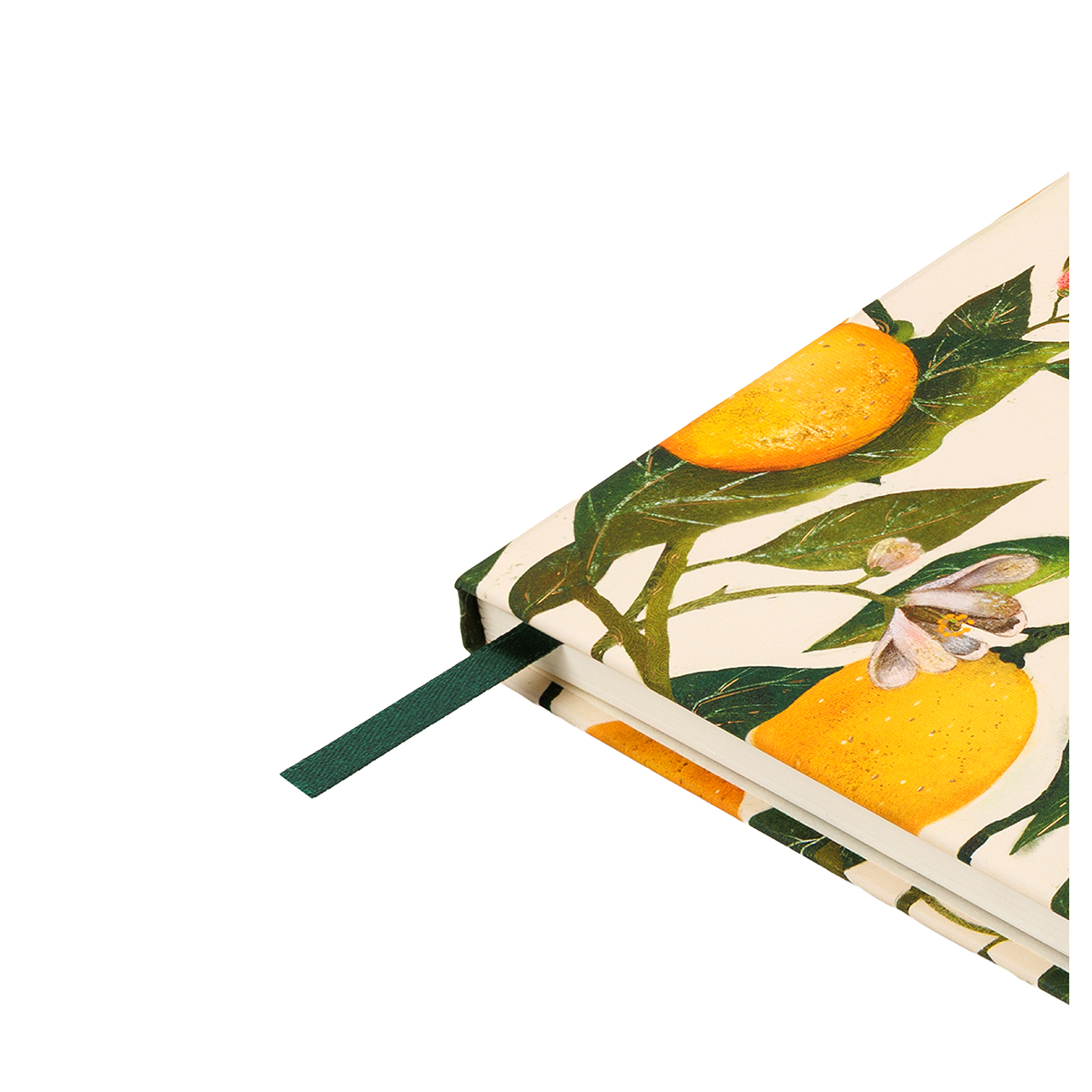 Bruno Visconti Записная книжка на резинке FLORA.PARADISE.LEMONS A5 100 л. линия 3-479/20 Фото 5.