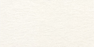 VISTA-ARTISTA Бумага цветная TPO-A4 120 г/м2 A4 21 х 29.7 см 02 жемчужно-белый (pearl white) Фото 1.
